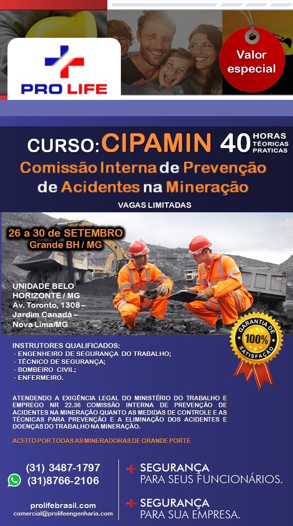 Curso de CIPAMIN