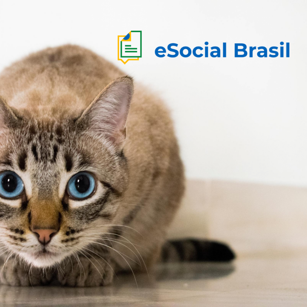 Esocial