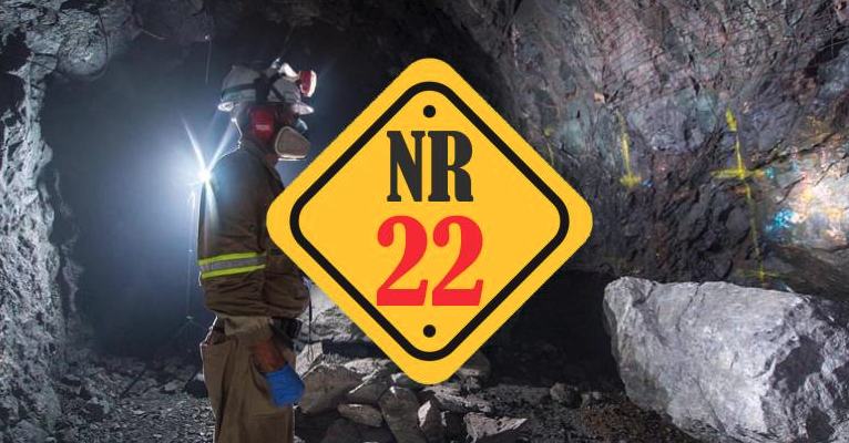 NR 22 IMAGEM