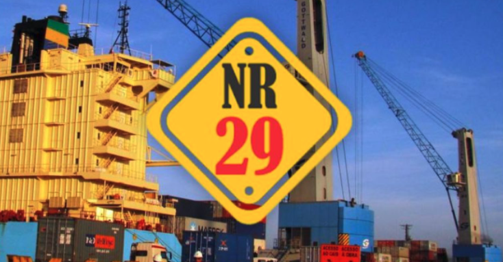 NR 29 IMAGEM